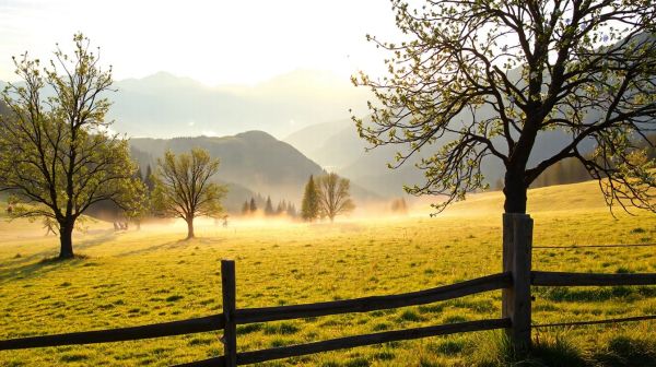 Guide complet pour assurer la sécurité de votre environnement en Suisse